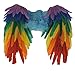 Rainbow Wings Costume Accessory