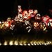 LED Rope Lights, Remote 33FT 136 LED Indoor Outdoor Rope Lights, 8 Modes/Timer, Plug in Tube Lights Waterproof String Lights for Christmas Garden Patio Party Swimming Pool (Warm White)