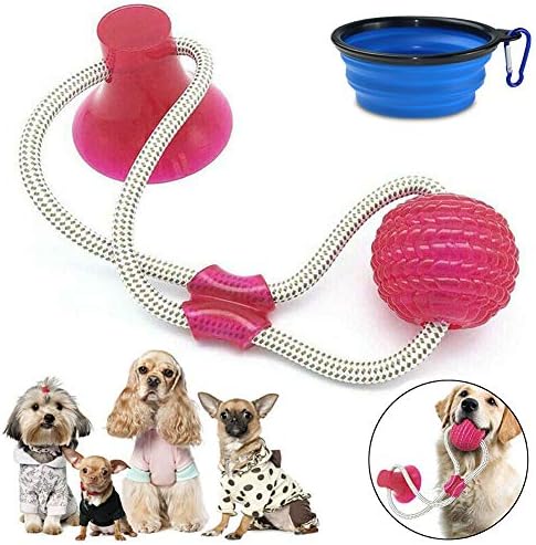 AMYPZN Multifunction Pet Molar Bite Toy,Self-Playing Rubber Ball Toy,Cute Funny Playing Ball with Suction Cup Molar Chew Toy Cleaning Teeth with Bowl (Red)