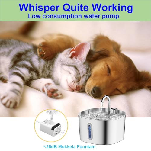 Cat Water Fountain Stainless Steel: 74oz/2.2L Cats Fountain for Drinking - Water Fountains for Cats Indoor - Quiet pet Water Fountain - Kitty spout cat Water Fountain - for Pets& Small Animals