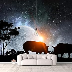 Wall Murals for Bedroom Fantasy View Mystery Collage Removable Wallpaper Peel and Stick Wall Stickers - 66x96 inches