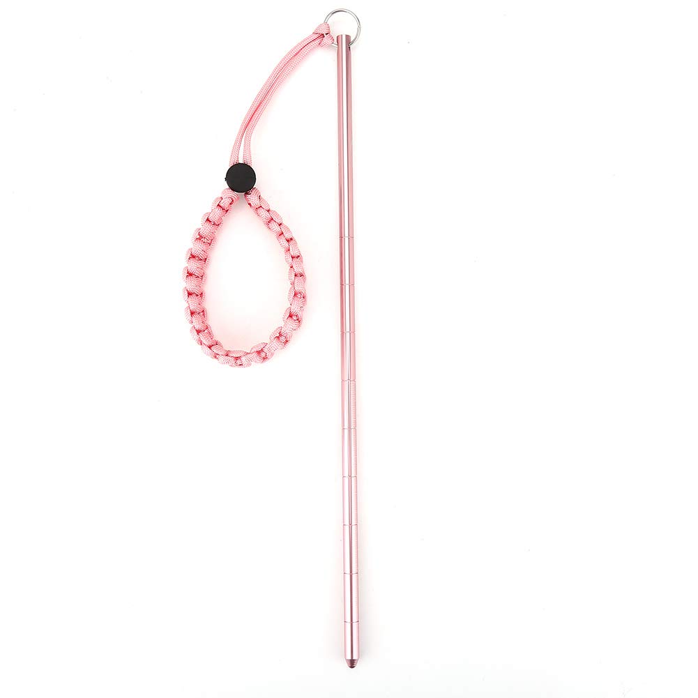 VGEBY1 Diving Pointer, Aluminum Alloy Scuba Diving Rod Lobster Tickle Stick with Lanyard(Pink)