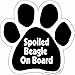 Imagine This Paw Car Magnet, Spoiled Beagle on Board, 5-1/2-Inch by 5-1/2-Inch