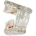 Toponechoice Transparent Dental Disease Teeth Model Removable Tooth Teaching Model Tools