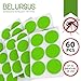 Belursus Mosquito Repellent Patch Green/3cm Resealable 60 Units/Premium Japan Natural Essential Plant oils/100% Natural Mosquito Repellent/24-Hour Protection/Simply Apply to Skin and Clothes 24 hour