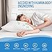SORMAG Bed Pillows for Sleeping, Adjustable Shredded Memory Foam Pillow, Cooling Bamboo Pillow Neck Support for Back, Stomach, Side Sleepers-Queen Size