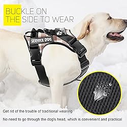 Demigreat Service Dog Harness, Reflective Dog Vest