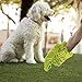 PLANET POOP - Compostable Biodegradable Dog Poop Bags Unscented - Cornstarch Earth Friendly - Highest Rated ASTM D6400 - Large with Handles, 240 Durable Leak Proof Pet Waste Bags - Supports Dog Rescue