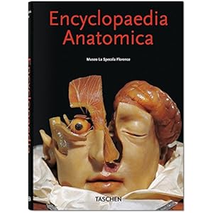 Encyclopaedia anatomica. Ediz. italiana, spagnola e portoghese
