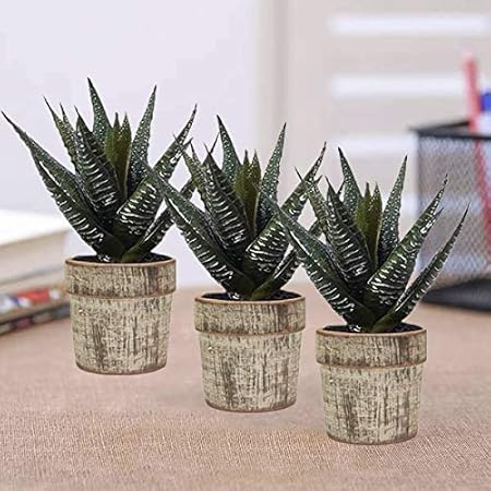 Lasaki Lyla Vintage Copper Ceramic Pots for Indoor Plants Planters Flower pots Outdoor Succulent Pot( Set of 3)