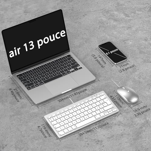 OMOTON Clavier et Souris Filaire pour Mac avec Double Interface, USB et Type-C Compact Ensemble Clavier et Souris Compatible avec Apple MacBook Pro/Air, iMac, Mac Mini, AZERTY FR, Argent
