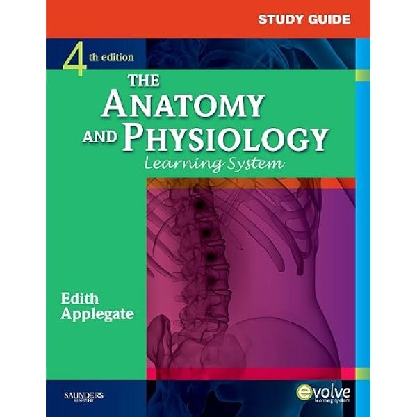 CLINICAL ANATOMY(CD未開封付き) Atlas of Human Anatomy, Third Edition: 9781929007110
