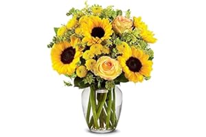 From You Flowers - Brilliant Sunflower & Rose Bouquet with Glass Vase | Fresh Flower Bouquets for Birthday, Anniversary, Get Well or Celebration