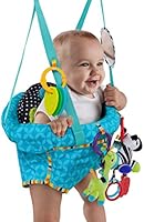 deluxe doorway jumper