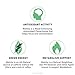 Matcha Green Tea Powder Packets – Simply Matcha 12 Pack, All Natural