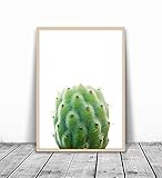 Cactus Print, Minimalist Print, Cacti, Modern Print, Minimalist Art, Cactus Printable Art, Minimalist Cactus, Art Print, Modern art, Green Plant Print, Plant Photography, Modern Plant Print, 8x10