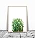 Cactus Print, Minimalist Print, Cacti, Modern Print, Minimalist Art, Cactus Printable Art, Minimalist Cactus, Art Print, Modern art, Green Plant Print, Plant Photography, Modern Plant Print, 8x10