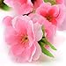 10Pcs Spring Peach Blossom Cherry Plum Bouquet Branch Silk Flower,Artificial Flowers Fake Flower for Wedding Home Office Party Hotel Yard Decoration