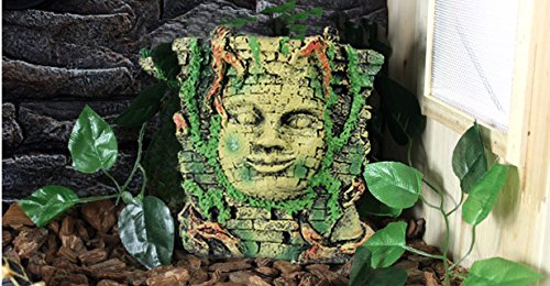 Reptile Rock Hide Cave - World 9.99 Mall Reptile Rock Hide Habitat decoration|Natural,Non-toxic, Made of Resin | Hideout For Small Lizards, Turtles, Reptiles, Amphibians,Fish (NS-68)