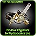 Hydroponics (Co2) Regulator Emitter System with Solenoid Valve Accurate and Easy to Adjust Flow Meter Made of High Quality Brass - Shorten up and Double Your Time for Harvesting - Not for Aquarium Use
