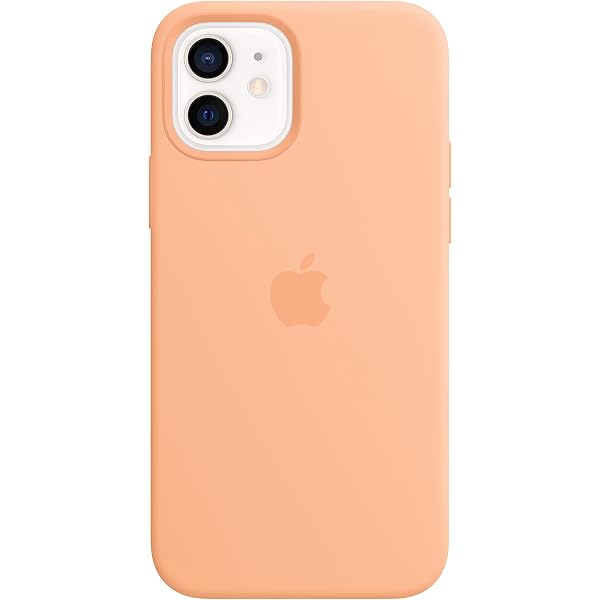 Amazon.com: Apple iPhone 12 Pro Max Leather Case with MagSafe