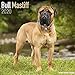 Bull Mastiff Calendar - Dog Breed Calendars - 2019 - 2020 Wall Calendars - 16 Month by Avonside (Mul by 