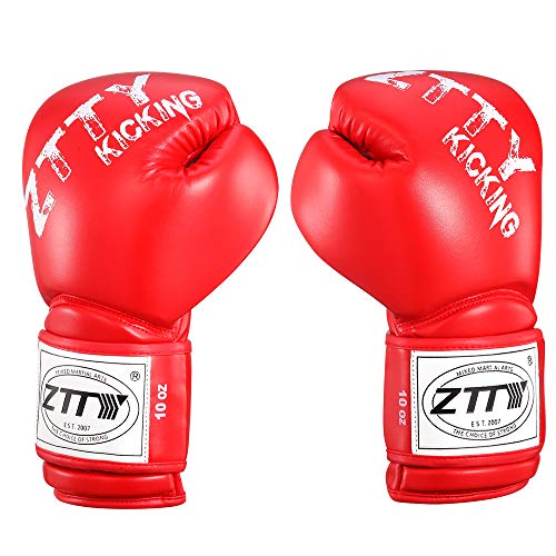 ztty boxing gloves
