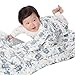 BORITAR Baby Blanket Soft Minky with Double Layer Dotted Backing, Lovely Grey Bear Printed 30 x 40 Inch, Receiving Blankets