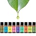 Natrogix Bliss Box - Bliss + Totem Set - Including Top 9 100% Essential Oils Set and 150 ML Essential Oil Diffuser - Solution for Your Aromatherapy Life