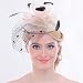 FAYBOX Elegant Silk Flower Feather Dot Net Fascinator Hat Hair Clip BlushPink