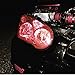 LinkedGo Self Adhesive Red Gloss Vinyl Headlight Foglight Tail Tint Wrap (12