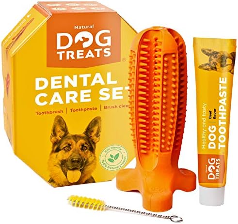 non toxic dog toothpaste