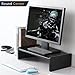 TAVR Computer Monitor Stand Riser Desk Storage Organizer Desktop Stand for Printer, Laptop, Desk with Phone Holder 16.7 x 9.4 inch CM1001