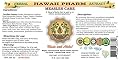 Measles Care Liquid Extract, Reishi (Ganoderma Lucidum) Mushroom, Rhodiola (Rhodiola Rosea) Root, Cat's Claw (Uncaria Tomentosa) Inner Bark Tincture Supplement