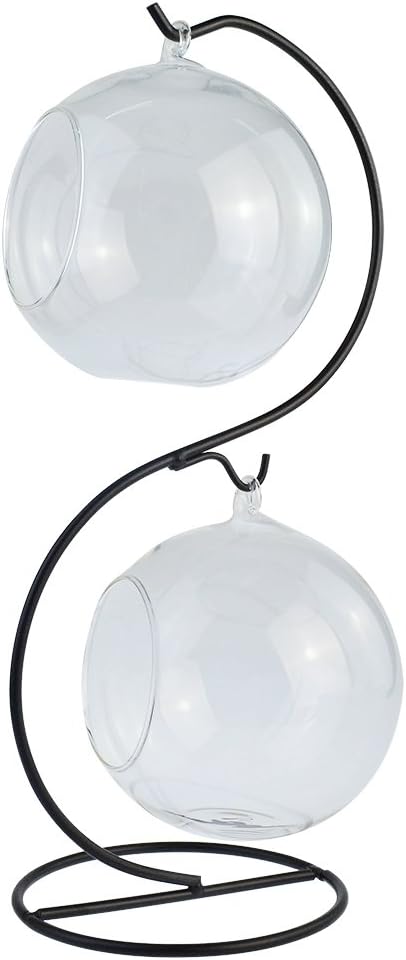 Nydotd 2 Pack Glass Vase Plant Terrarium Planter With Metal Stand