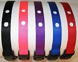 Dog Fence Receiver Heavy Duty Replacement Strap Purple by Coastal Pet