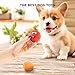 6PCS Dog Squeaky Toys Latex Soft Dog Toys Rubber Chewing Toy Fetch Play Balls for Puppy Small Medium Pets Dog Cat (Style 1)