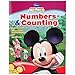 Minnie Mouse Clubhouse Learning Bundle - Pre-K Skills Flashcards and Workbook for Colors, Shapes and More