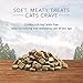 Blue Buffalo Wilderness Grain Free Soft-Moist Chicken & Salmon Cat Treats