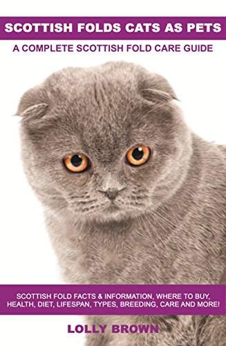 Scottish Folds Cats As Pets Scottish Fold Facts Information