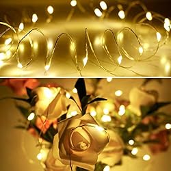 FELISHINE 20 Packs Fairy String Lights, 6.6FT 20