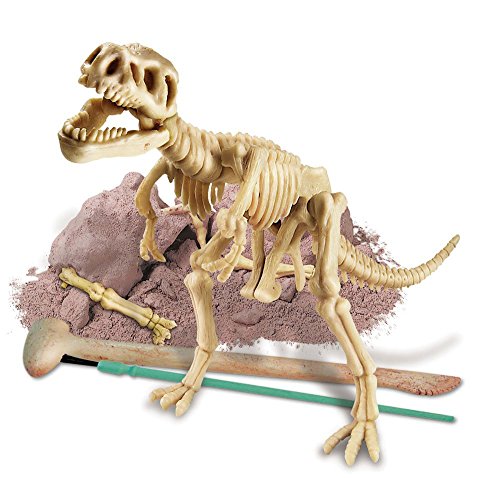 Dig A Dino Tyrannosaurus Rex