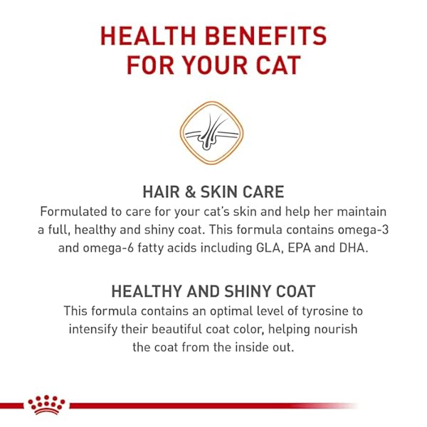 ROYAL CANIN FELINE CARE NUTRITION HAIR & SKIN CARE ADULT DRY CAT FOOD, 6 LB BAG
