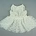 Fitwarm Luxury Rose Lace Pet Dog Weddding Dress Bride Clothes Formal Apparel, Large