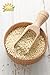 Nutria Organic White Sesame Seeds, 16 oz, 1 lb
