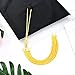 Frienda 2018 Year Signet Gold Color Charm for Graduation Tassel Grad Days