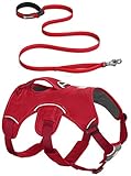 RUFFWEAR RED Web Master Dog Harness and Flat Out Leash Combo ♦ Secure Reflective Supportive Multi USE (Large/XL)