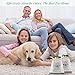 Charcoal Air Purifying Bag, Activated Charcoal Odor Absorber, Nature Fresh Air Purifier Bags for Odors, Home, Cars, Shoes, Closets, Pets, Breathe Green Charcoal Bags 200G Value 4Pack