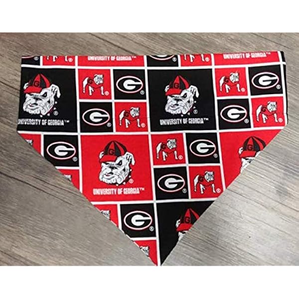 best lazy family dogs