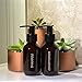 Bottiful Home - 3 oz. Refillable Amber Plastic Travel Bottles Set of 5 w Pumps - Gold Printed Shampoo, Conditioner, Body Wash, Lotion + Other - TSA-Compliant